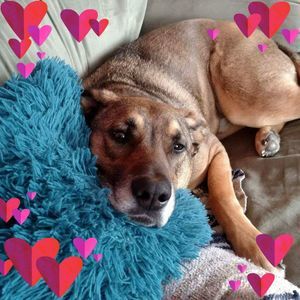 Meet your Posher, Joann